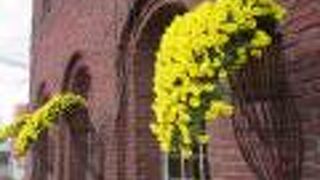 ツタに覆われたおしゃれな外観の六花亭