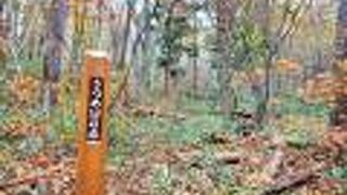 穂高ビューホテルに隣接　烏川渓谷緑地を散歩