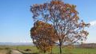 間近で見ると何とも…