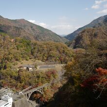 ダム堰堤から見た紅葉の景色。東京らしかぬ景色に癒されます。