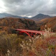 紅葉が綺麗でした。