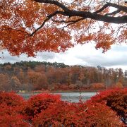 紅葉が綺麗でした。