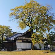 静かな紅葉