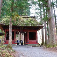 戸隠神社 奥社 
