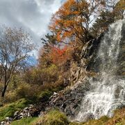 紅葉がまだ綺麗でした。