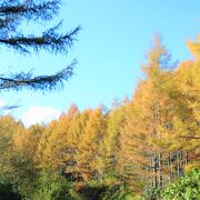 秋の絶景ドライブは、奥志賀高原栄線