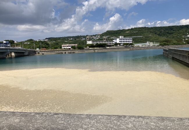 11月はじめでも泳げるようでした