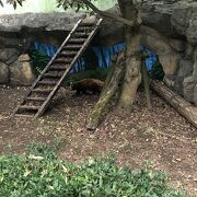 無料の動物園