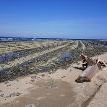 海の方まで歩いている方もおられました