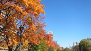 紅葉散策も楽しめた（10月下旬）