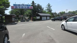 まだ少し時期が早かったせいか無料で入れました