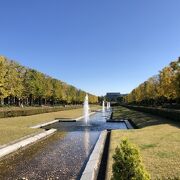 紅葉の昭和記念公園