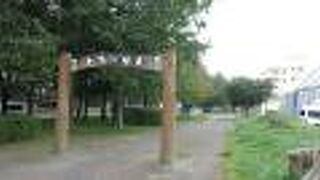 さすがに北海道、廃線線路敷が２キロも公園道路になっている。