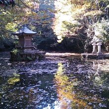 お寺の裏手にある池の水面に綺麗に写る紅葉が見ごたえ十分