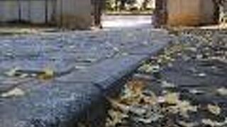 池の水面に綺麗に写る紅葉が見ごたえ十分