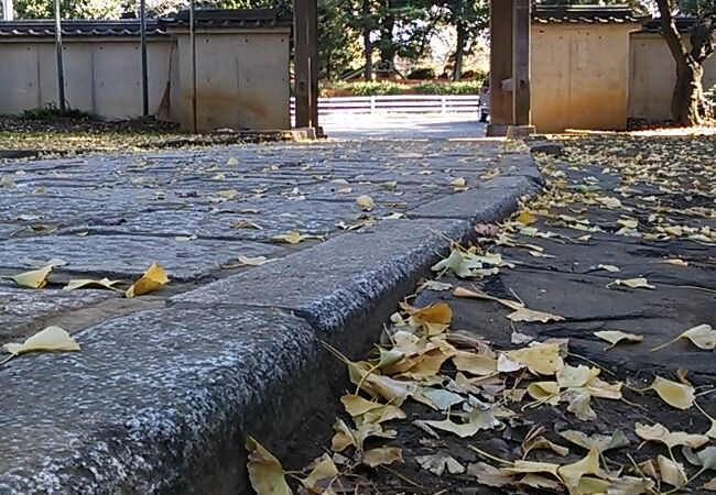 池の水面に綺麗に写る紅葉が見ごたえ十分