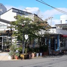 花屋さんと一緒になったお店で見つけやすいのがよし。