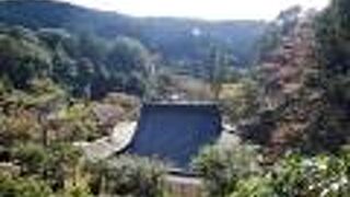 いいお寺だが，写真撮影に厳しい