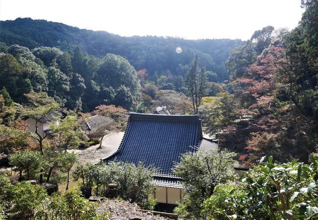 いいお寺だが，写真撮影に厳しい