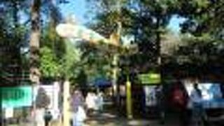 お猿さんが飛び跳ねる