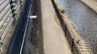 のどかな小川です