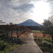 富士山の裾野まで良く見えます。