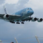 沖縄で最初で最後！！ エアバスの巨大機A380が宮古下地島にやってきた！