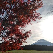 裏の広場からの眺めです。