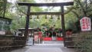 クヌギの木が使われています