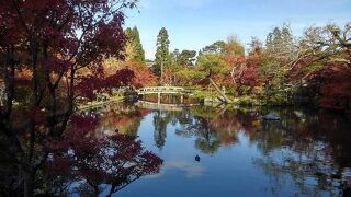 もみじの永観堂
