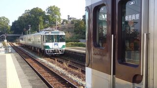 古豪キハ185がのどかに走る