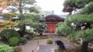 屋根に突き出た窓のようなものが珍しく感じました