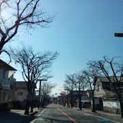 武田神社への参道