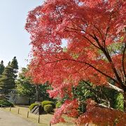 お庭好きな人は是非！