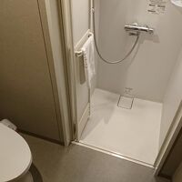シャワーのみでバスタブは無いが温泉があるので、これで良い。