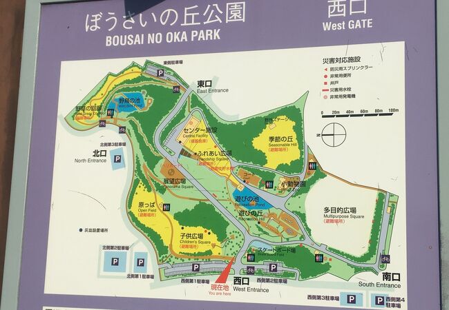 大山や丹沢が一望できる防災公園