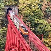 新山彦橋を渡るトロッコ電車