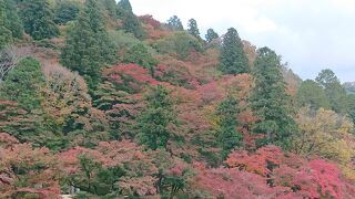 紅葉のピーク少し前に訪問