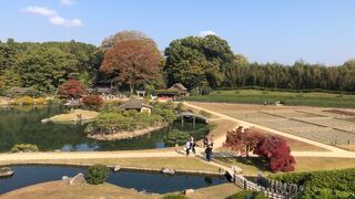丹頂鶴を見られるとは、釧路湿原に行かなくていいです