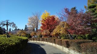 紅葉真っ盛り