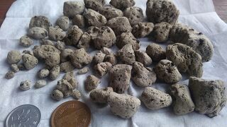 沖縄に押し寄せる軽石