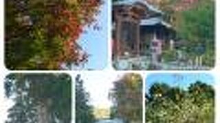 今年も紅葉を見に来ました。