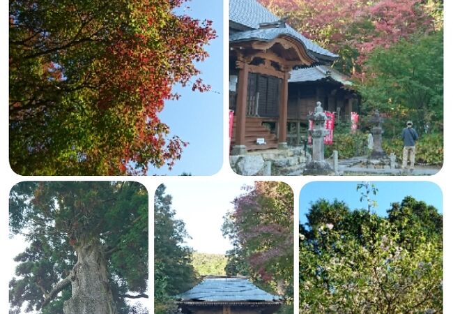 普門寺 クチコミ アクセス 営業時間 豊橋 フォートラベル 普門寺 クチコミ アクセス 営業時間 豊橋 フォートラベル