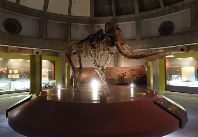 忠類ナウマン象記念館 クチコミ・アクセス・周辺情報｜広尾・大樹