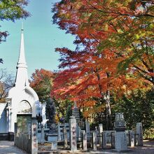 紅葉の仏舎利塔