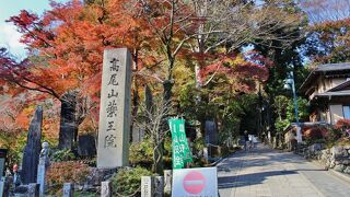 薬王院の参道がハイキングコース1号路