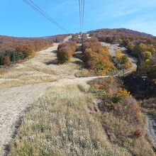 ロープウエーからの眺望
