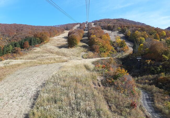 空気の澄んだ時期、春先と紅葉の時期が良いのではないかと思います。