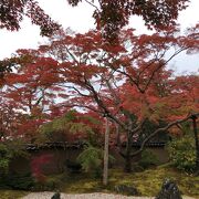 紅葉が奇麗で、女性の方々はミニ撮影会で賑わってましたよ