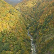 高さ１２２ｍからの絶景